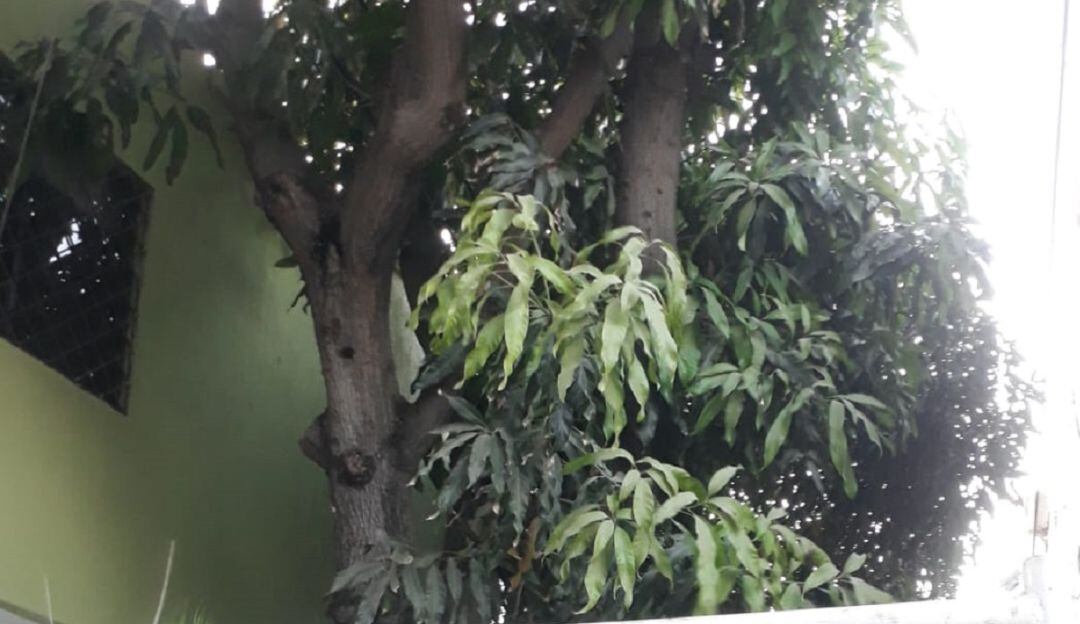 El hecho se registró en el barrio Los Calamares