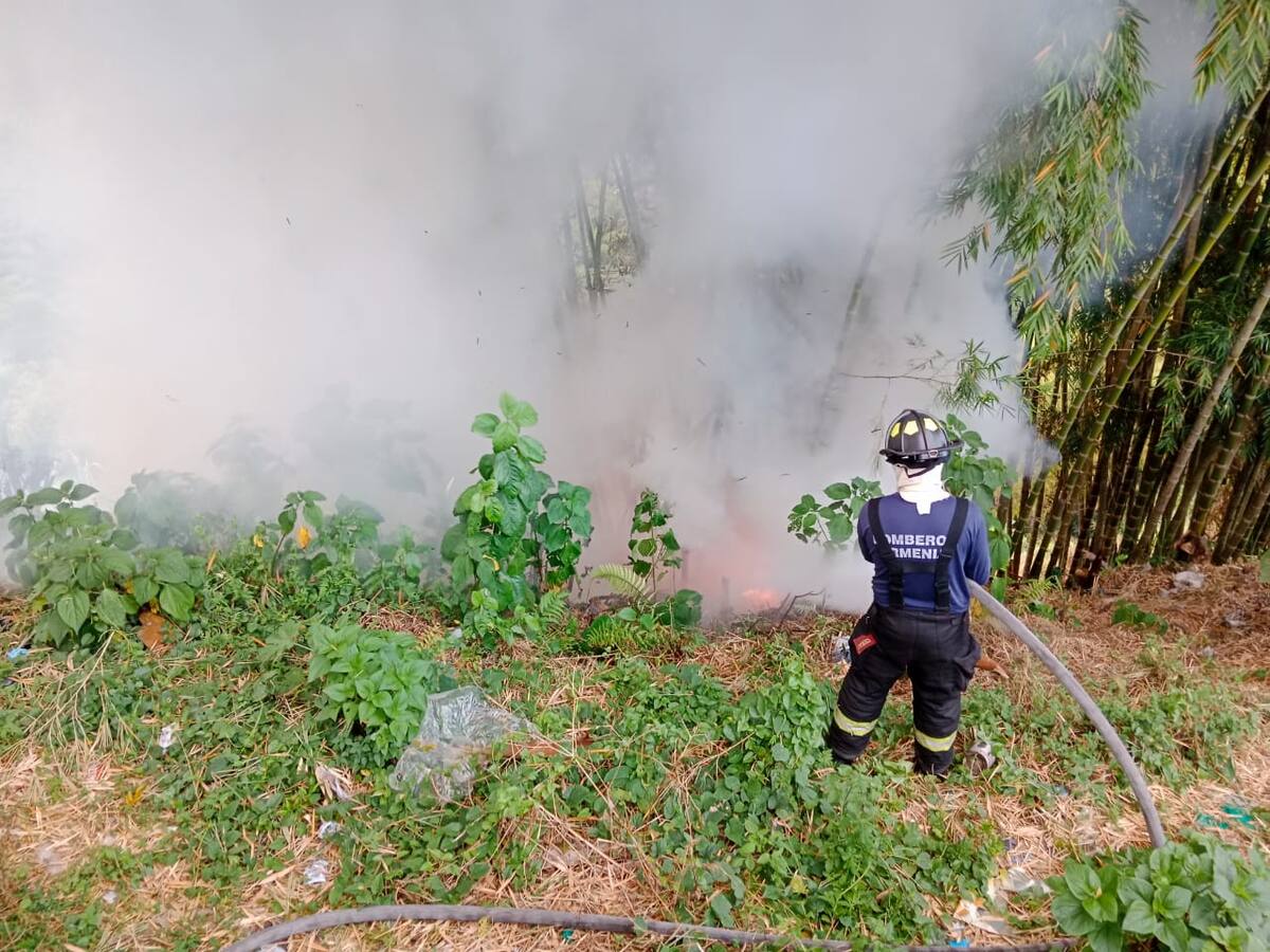 50% de los municipios del Quindío han sido afectados por incendios de cobertura vegetal