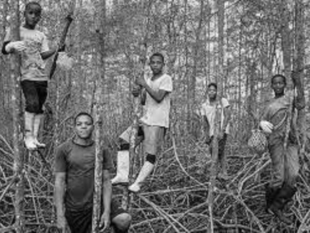 La película colombiana “Los reyes del mundo” ganó Concha de Oro en Festival de Cine