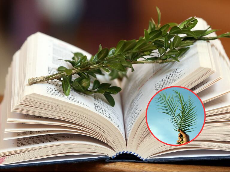 Biblia abierta con un ramo encima, así como una persona con un ramo en la mano (Fotos vía Getty Images)