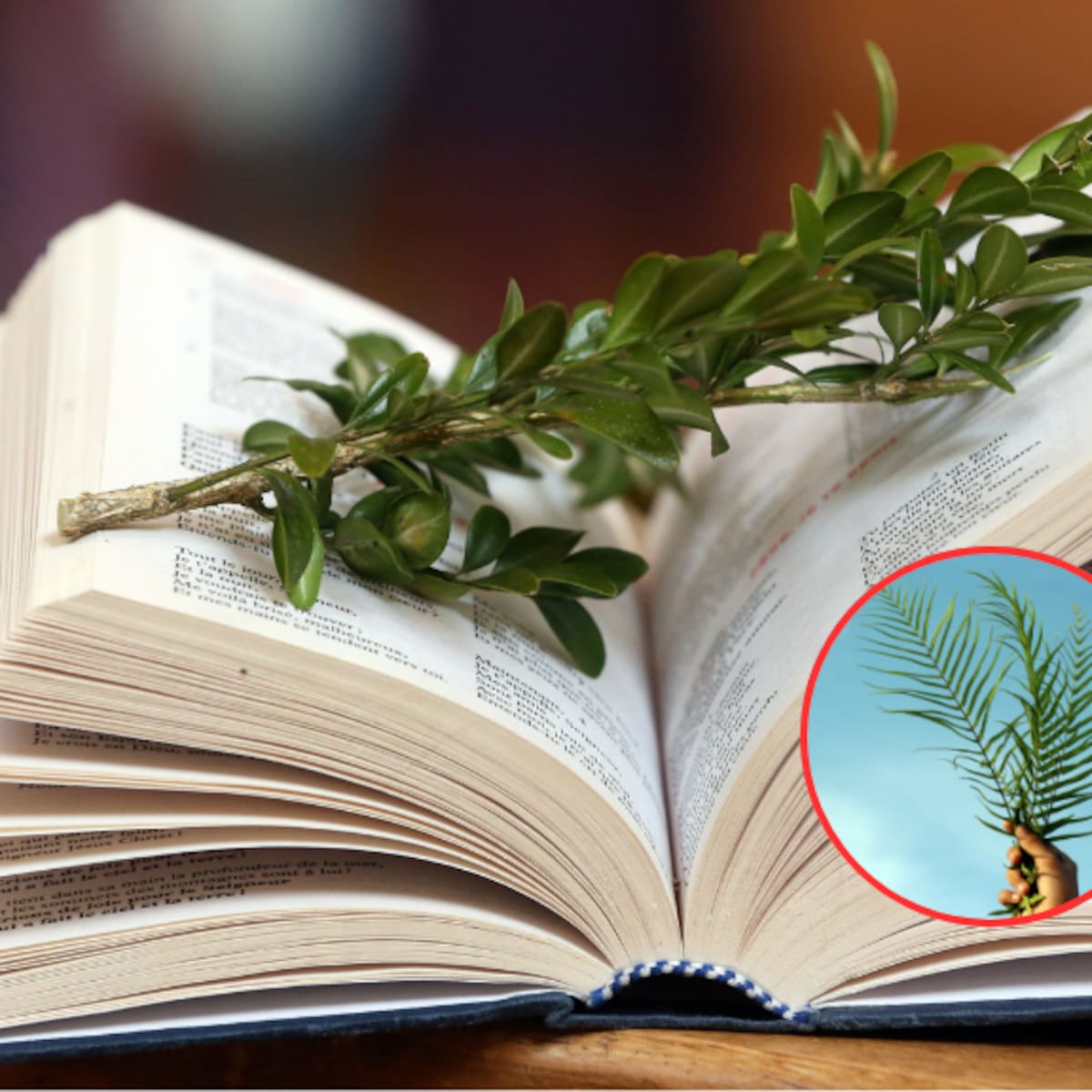 ¿Qué deben hacer los católicos el Domingo de Ramos? Símbolos y acciones indispensables