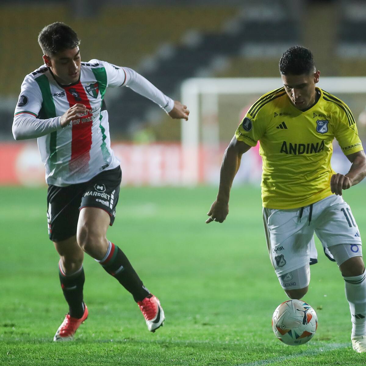 Daniel Cataño, operado con éxito y se pierde lo que resta de semestre en Millonarios