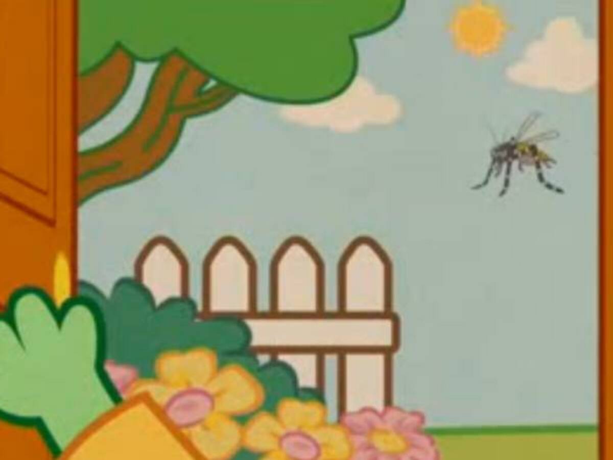 Google dona 1.000.000 de dólares a Unicef para combatir el zika