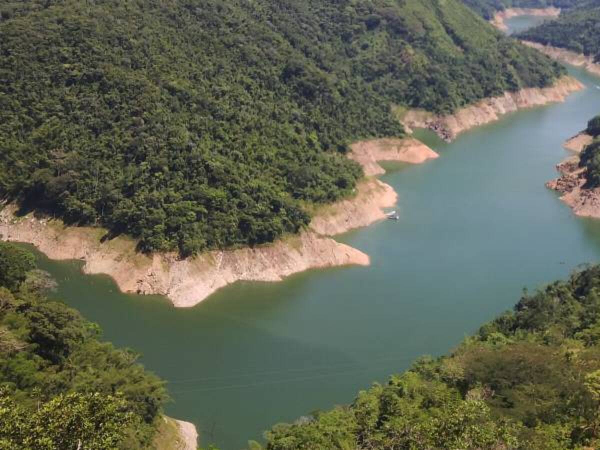 Caldas empieza a recuperar sus fuentes hídricas