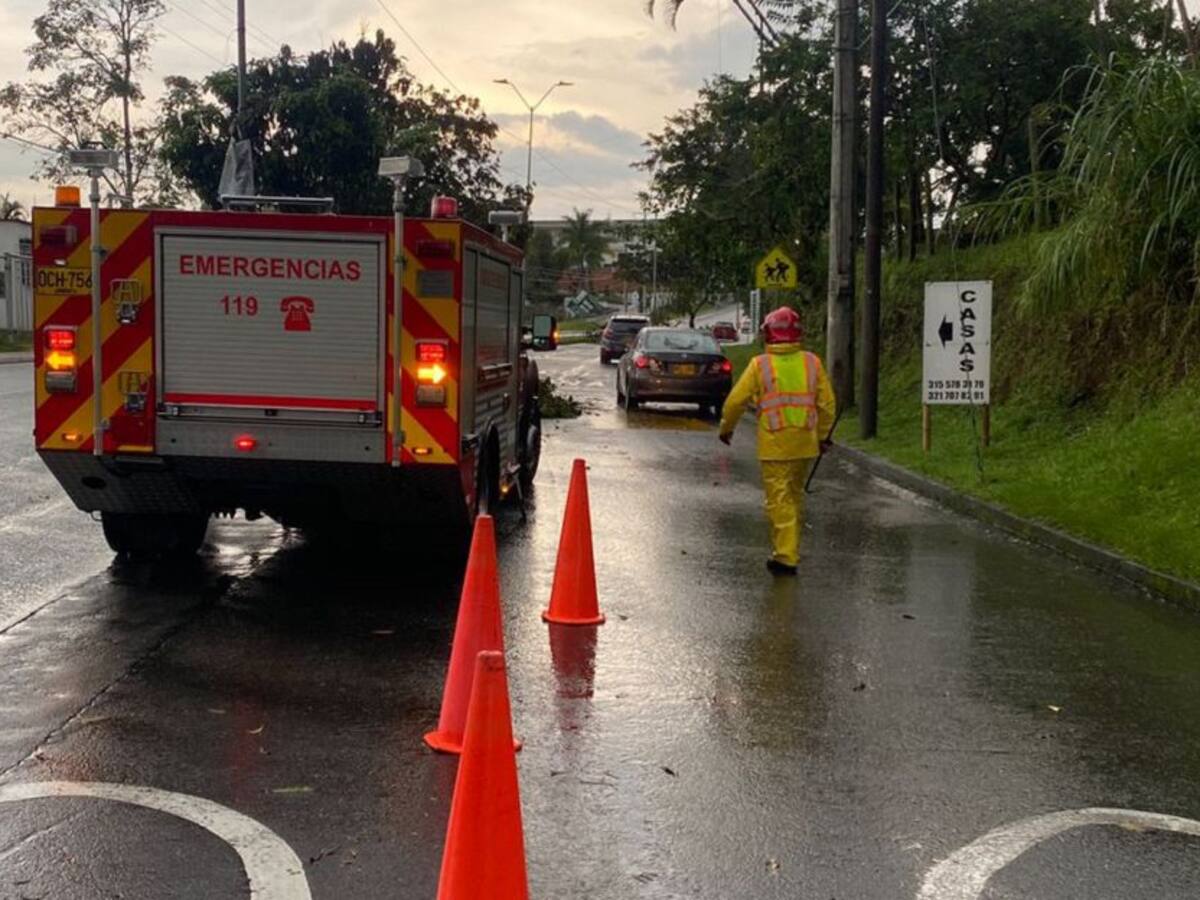 Inundaciones y caída de árboles, afectaciones por lluvias en Armenia