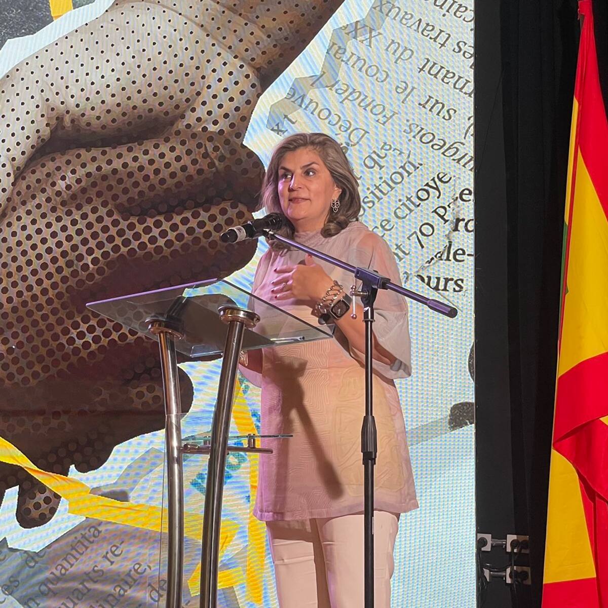 “Ningún estado ha llevado el tema de los buques de Estados Unidos ante la OEA”: Laura Gil