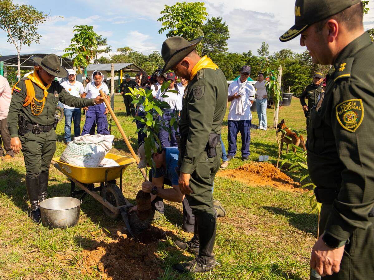 Con plantas nativas recuperaron 30 hectáreas contaminadas por mercurio en Caucasia