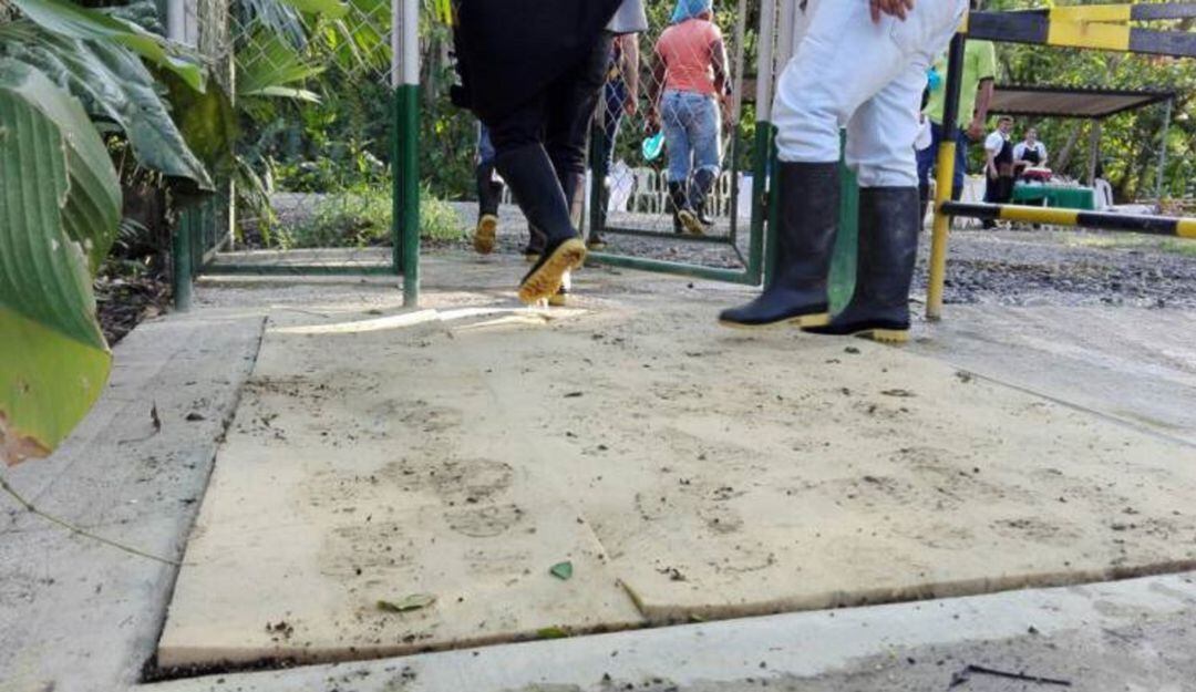 Foto de referencia bananeros- 