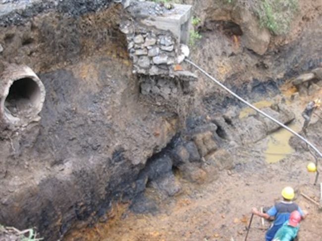 Hallan fósil de dinosaurio en Santander