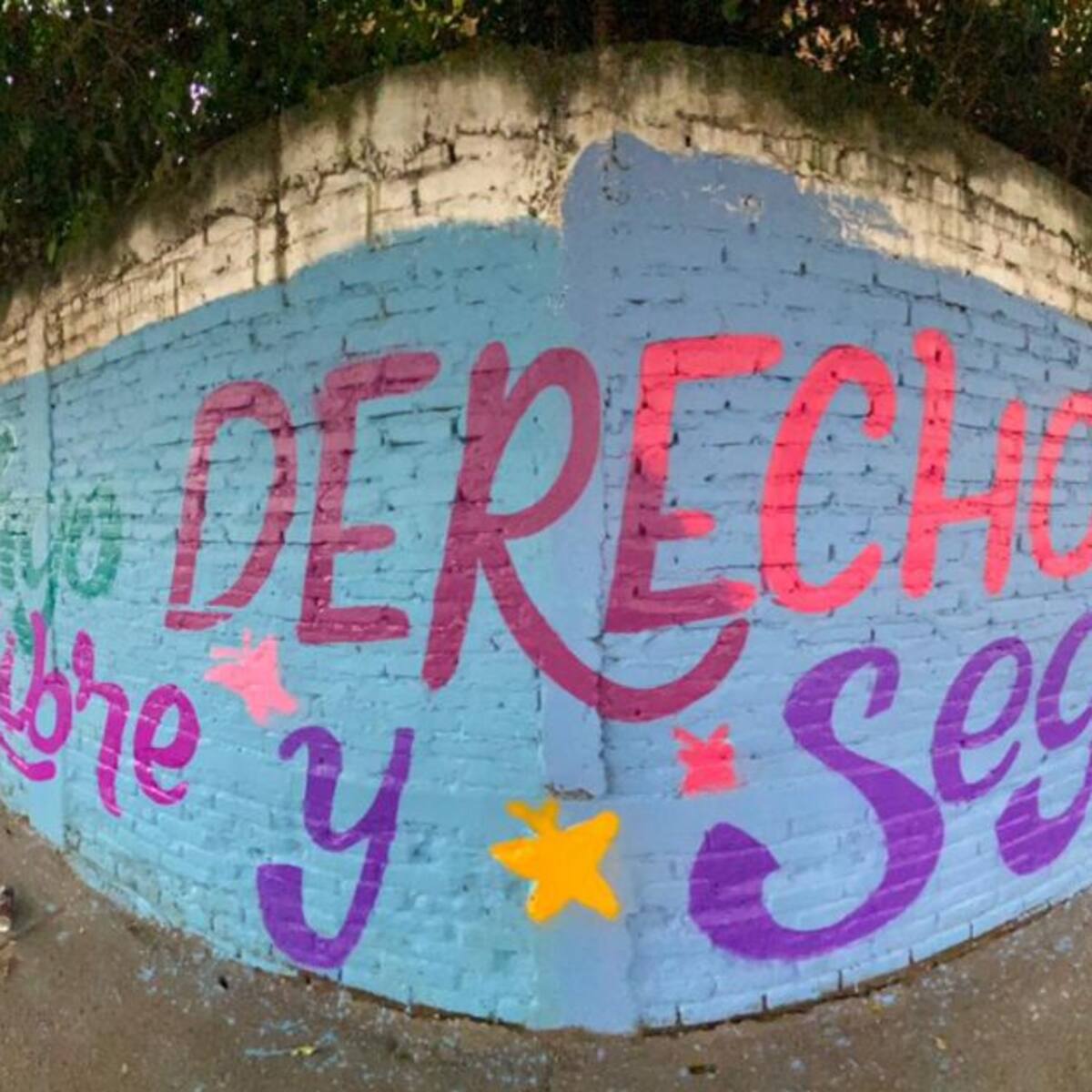 Día Internacional de la Eliminación de la Violencia contra la Mujer en Cali