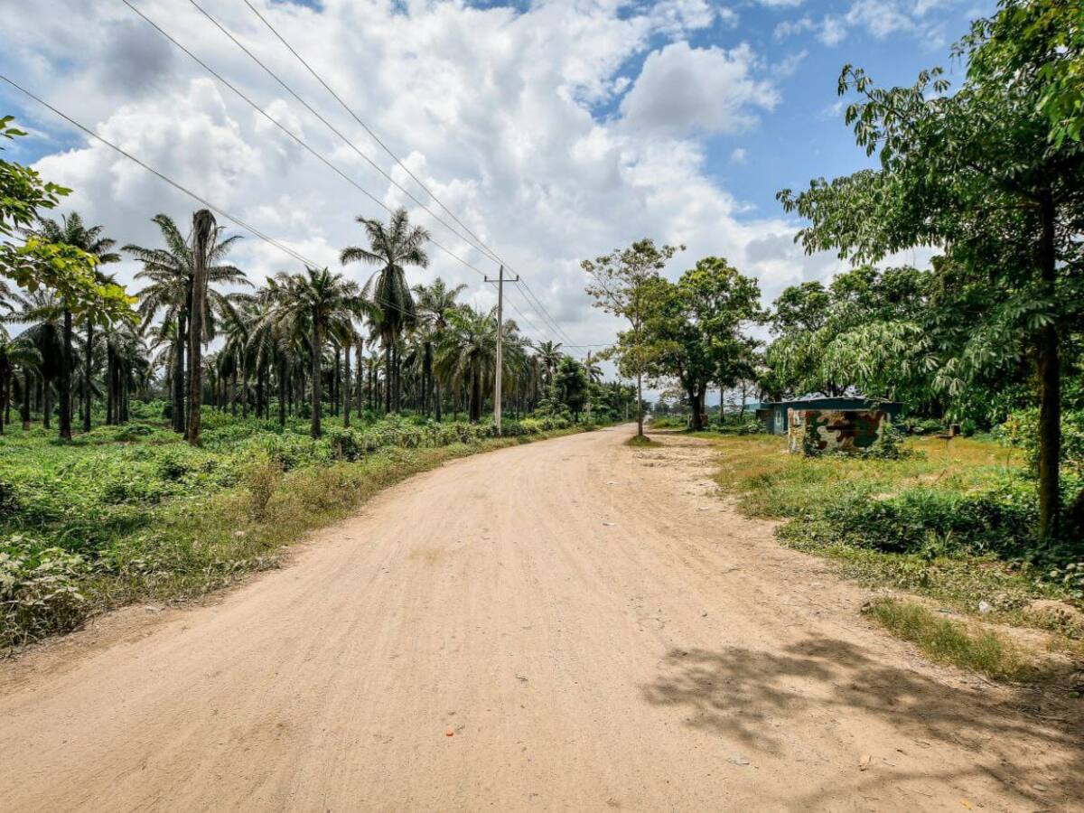 Zona Bananera completa 21 días sin homicidios gracias a plan especial de Policía Magdalena
