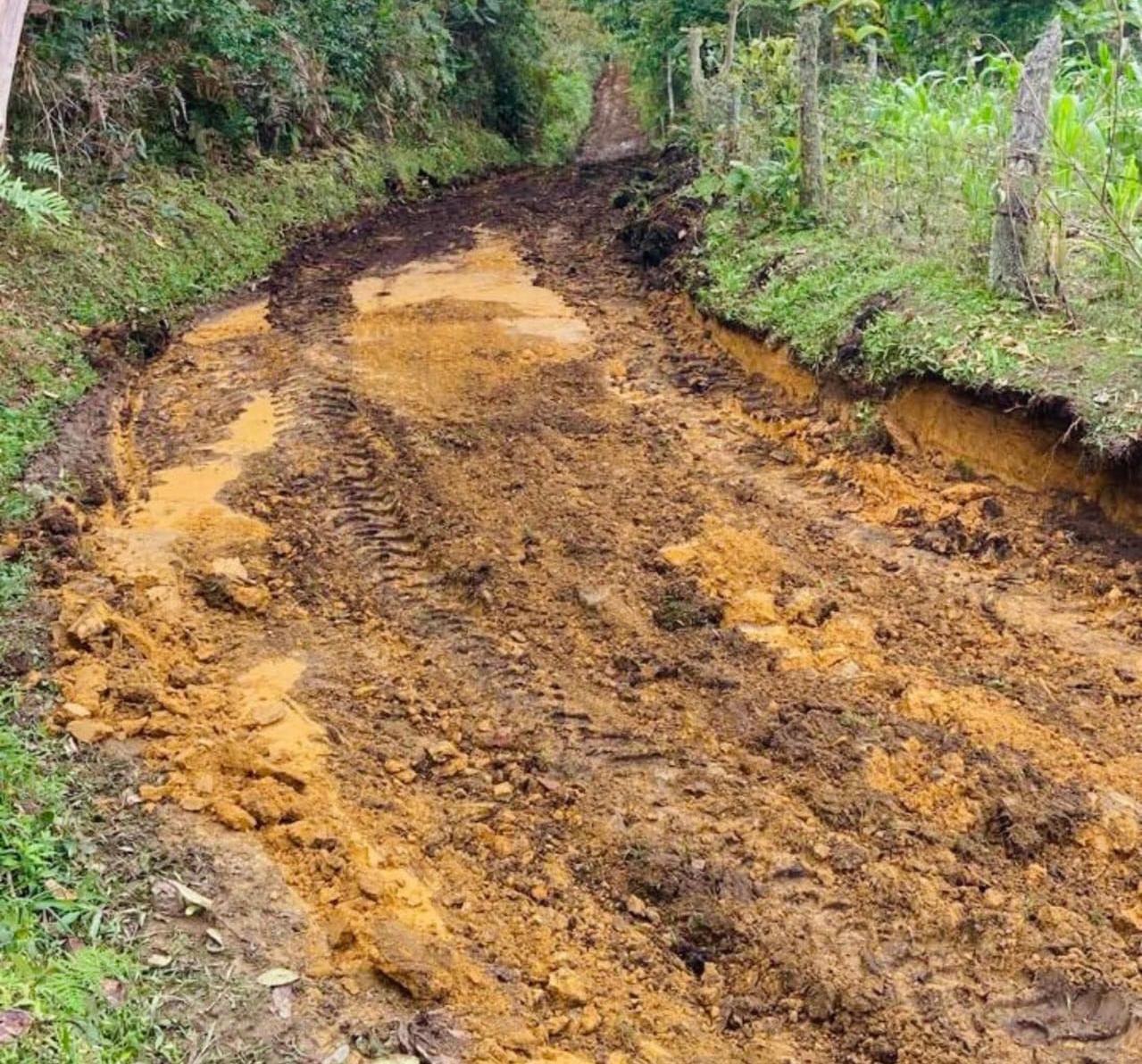 Algunas de las vías veredales como Guánomo se han visto afectadas por las lluvias / Foto: Suministrada.