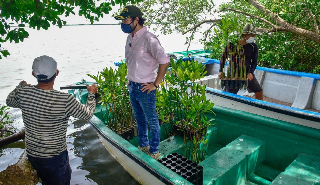 La Ciénaga de Mallorquín será recuperada para el ecoturismo.