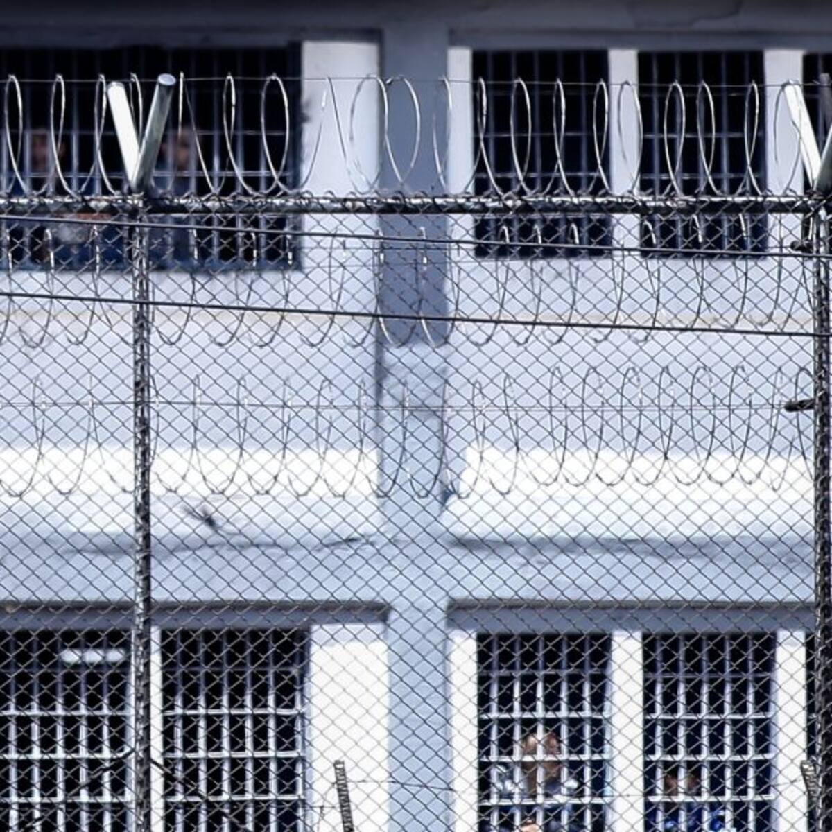 Cayó banda criminal que hurtaba a establecimientos en Colombia y Ecuador