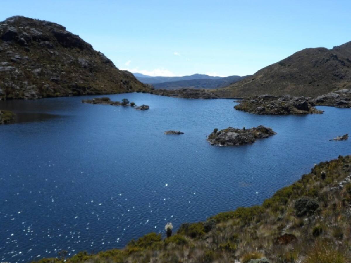 Ambientalistas piden mayor compromiso en la preservación ambiental