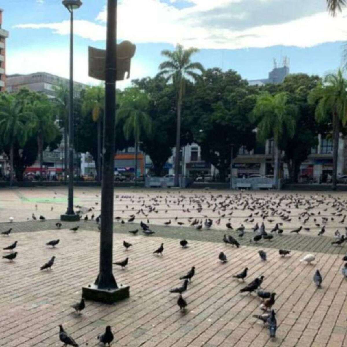 Toque de queda durante el fin de año en el Área Metropolitana de Pereira