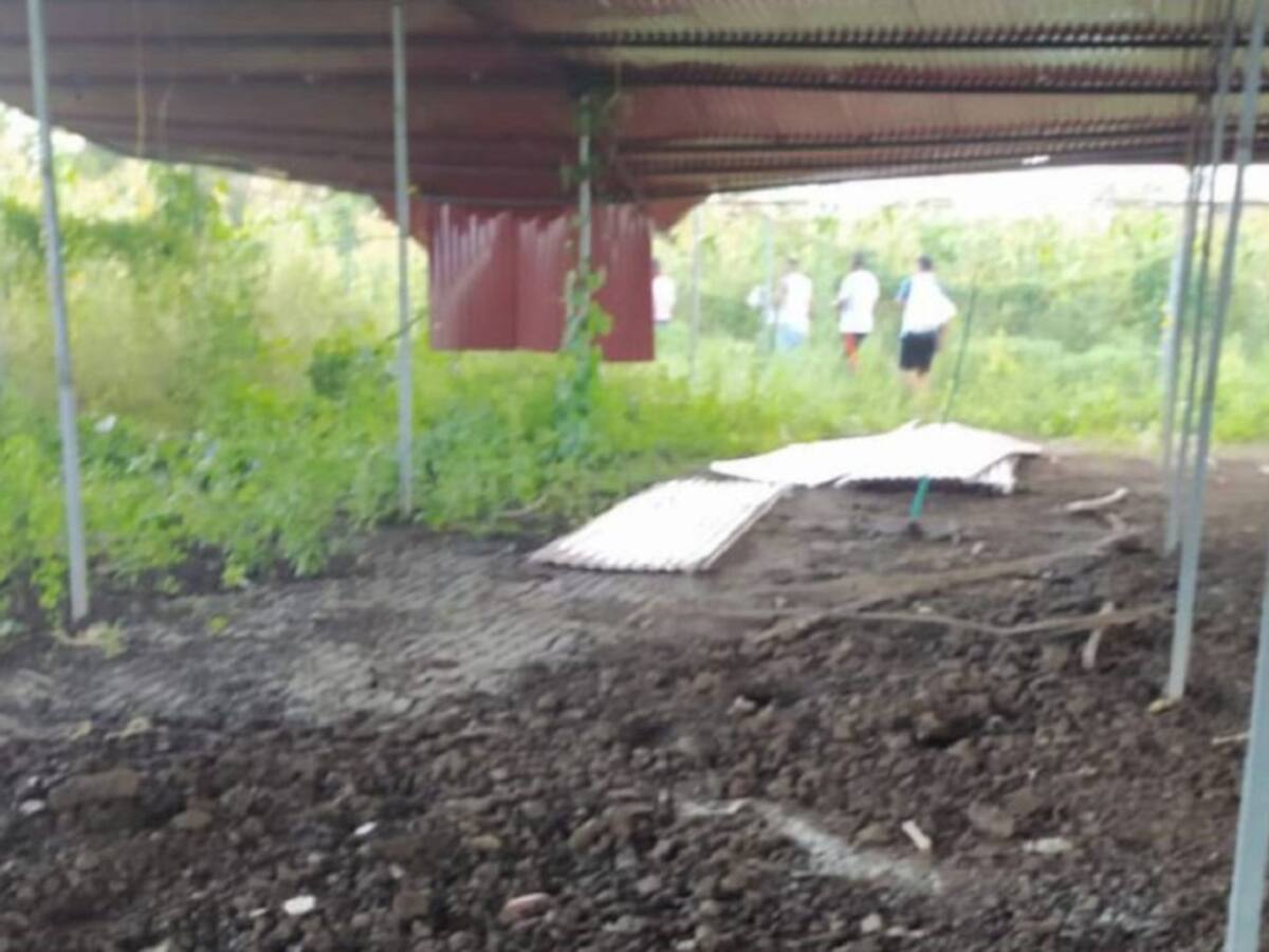 Empresario que denunció robo de gallinas en Repelón advierte de amenazas