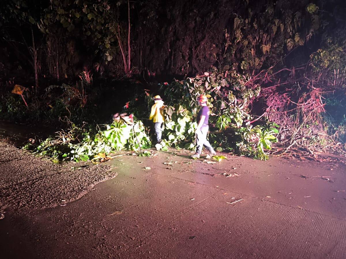 Lluvias dejan múltiples emergencias en Ibagué