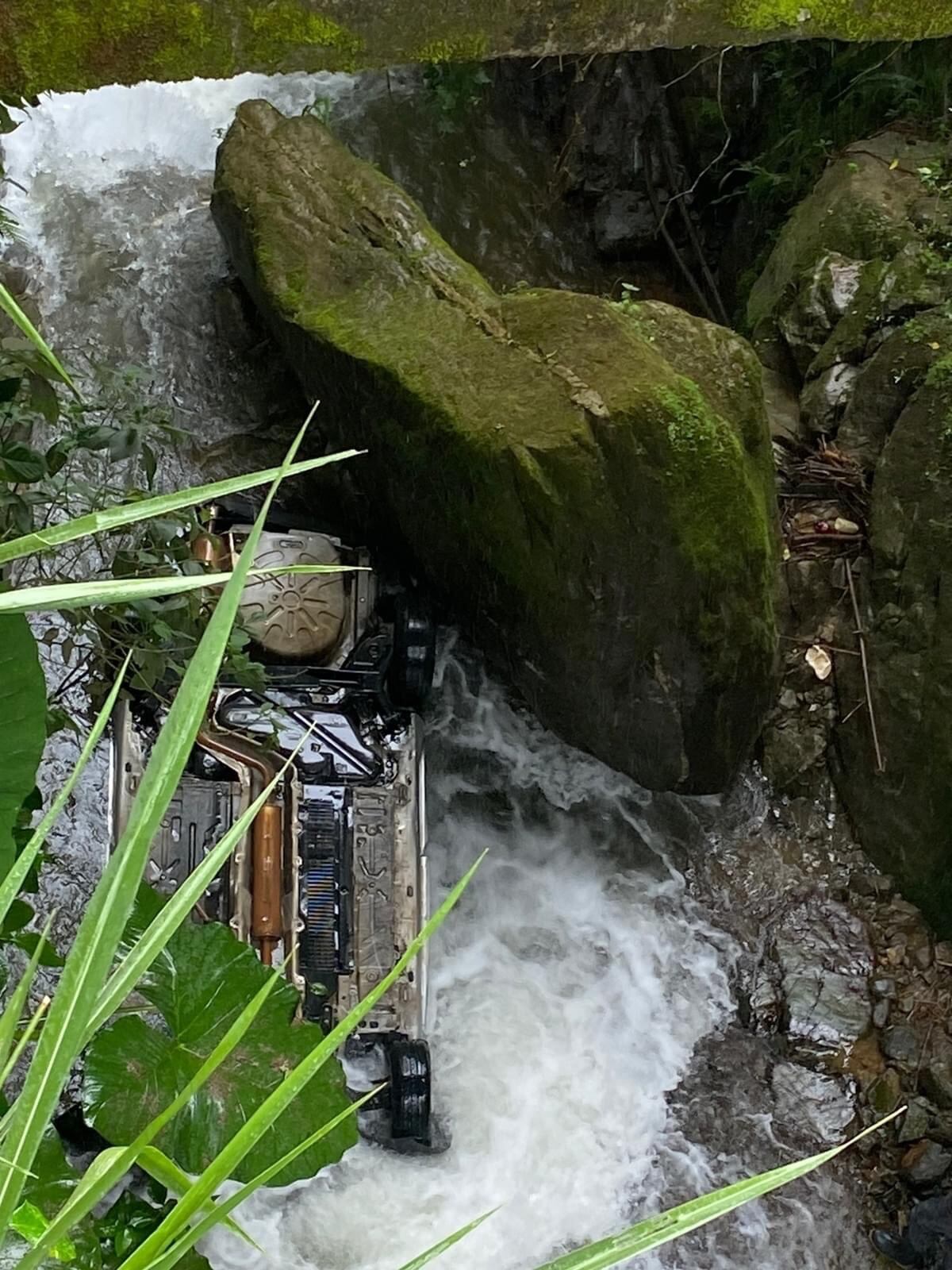 Crédito: Suministrada.