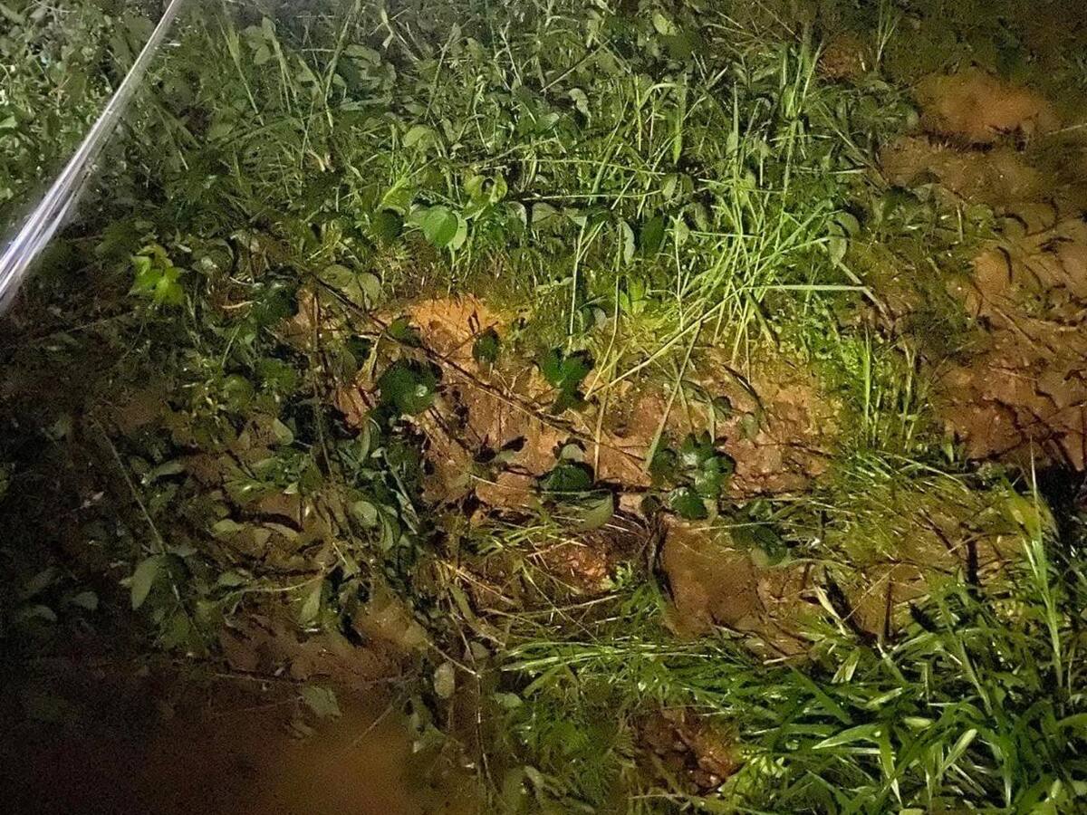 Un deslizamiento de tierra en Riosucio, Caldas deja incomunicadas por lo menos cuatro veredas