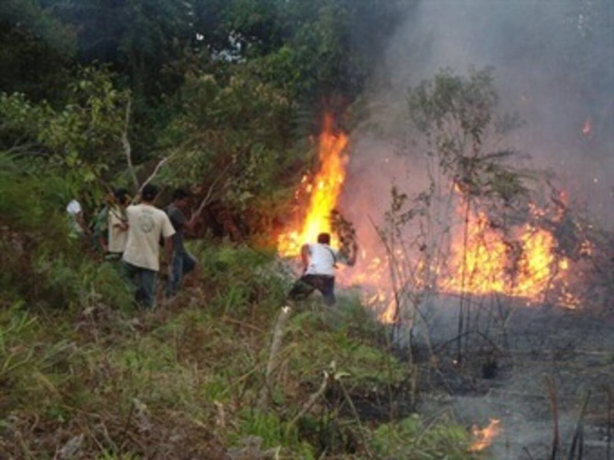 Cerca de 35 hectáreas afectadas deja incendio forestal en Pesca, Boyacá