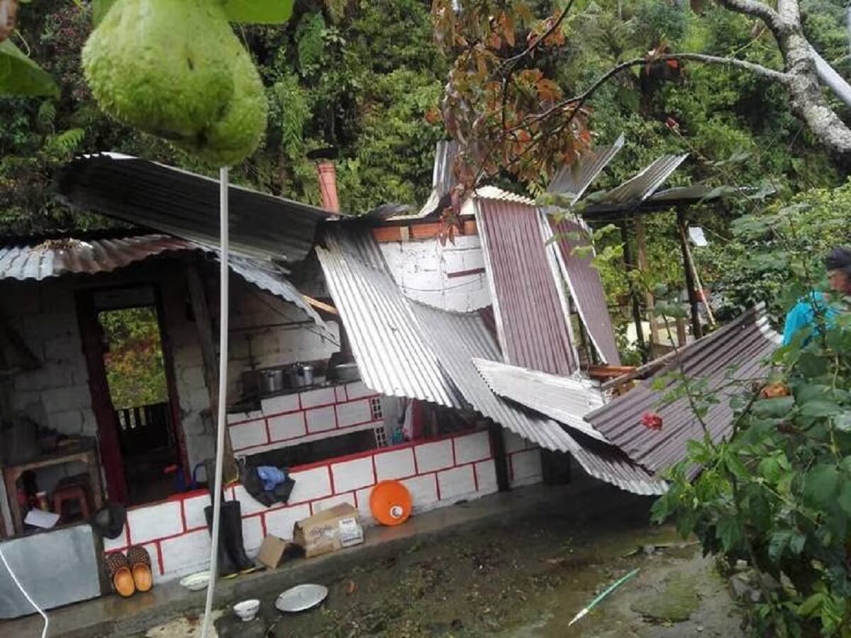 Crédito: Secretaría de Medio Ambiente de Caldas.