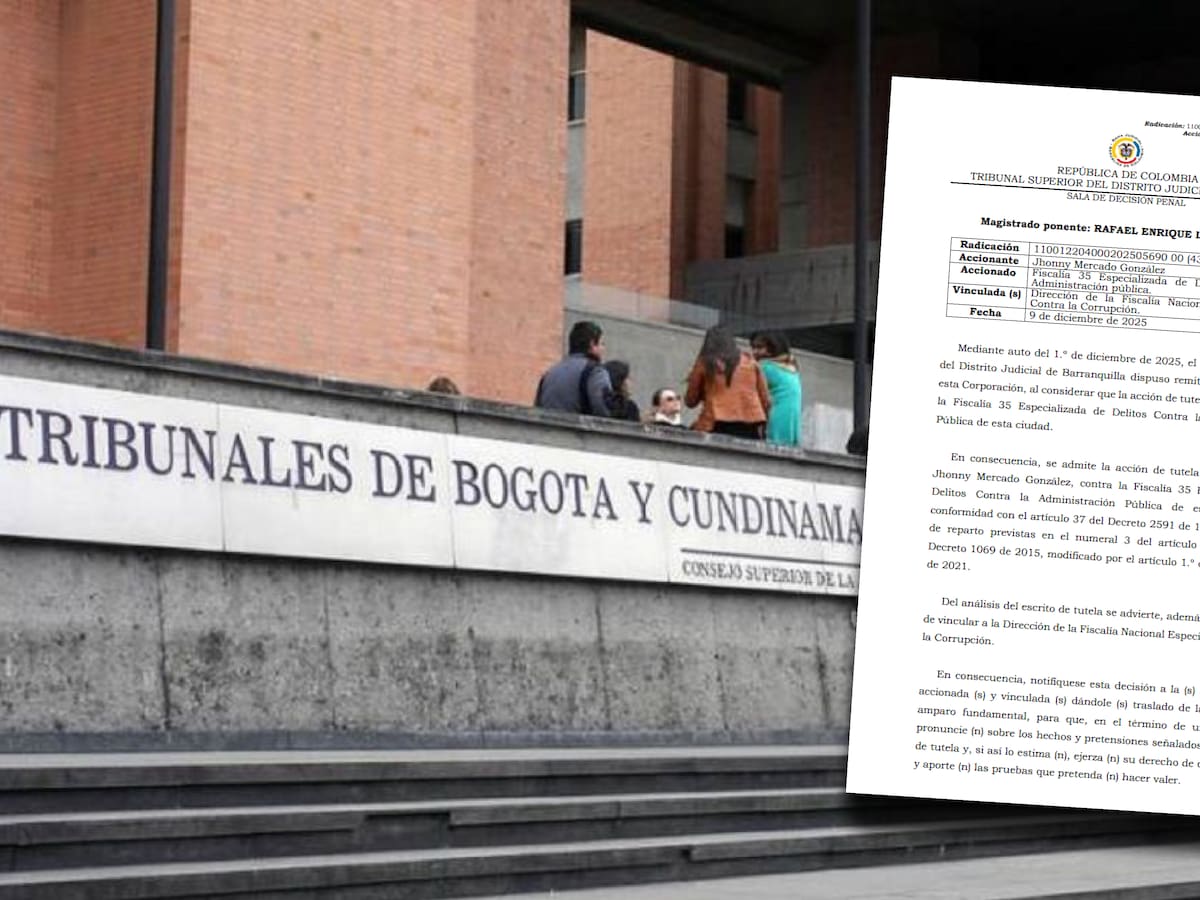 Tribunal vincula a anticorrupción de Fiscalía en tutela contra fiscal que habría engavetado proceso