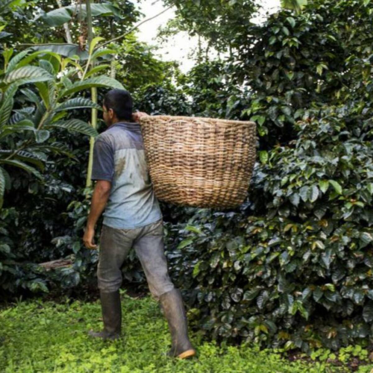 Habitantes de zonas rurales de Pereira denuncian pésimo estado de las vías