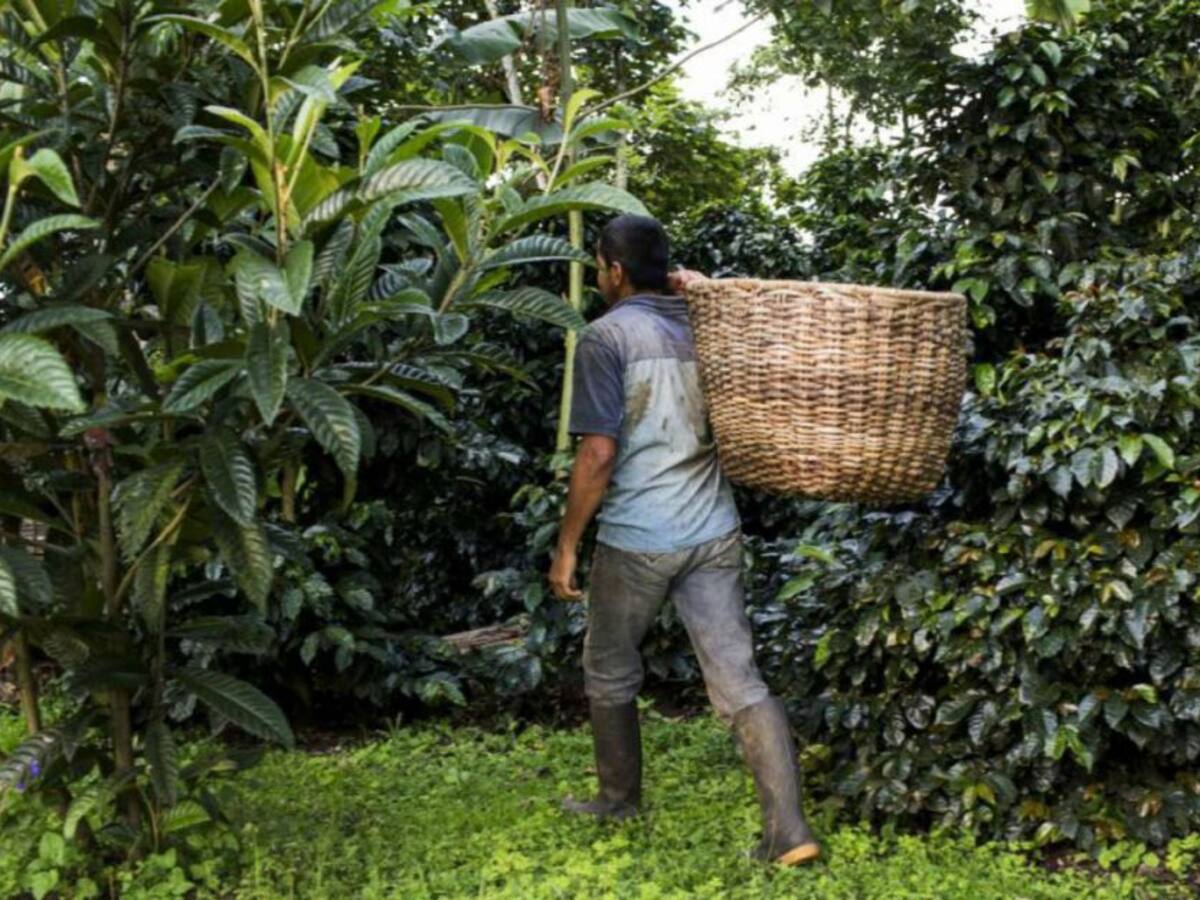 Habitantes de zonas rurales de Pereira denuncian pésimo estado de las vías