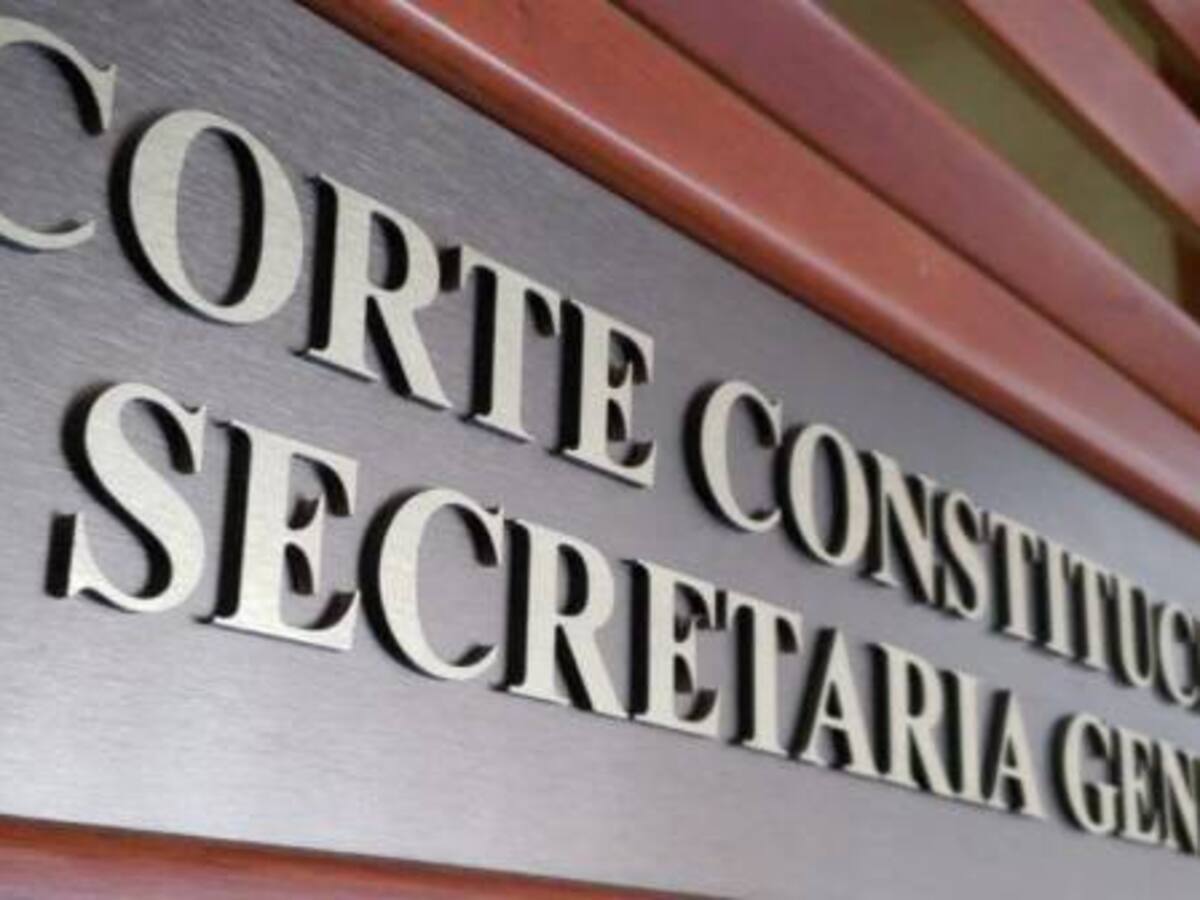 “Eres muy importante y estamos para escucharte”: Corte explica fallo a niño