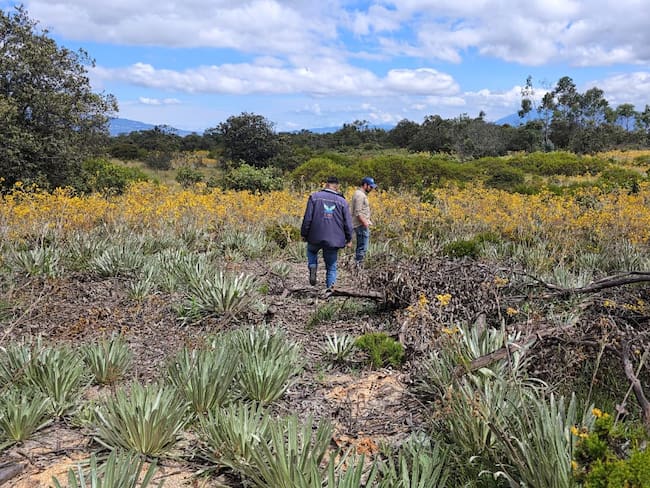 FOTO: CAR CUNDINAMARCA