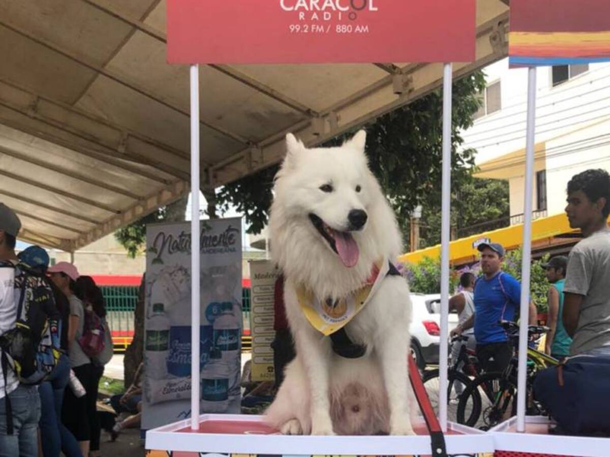 Primer "Pet Friendly" de Caracol Radio y Cacique resultó un éxito
