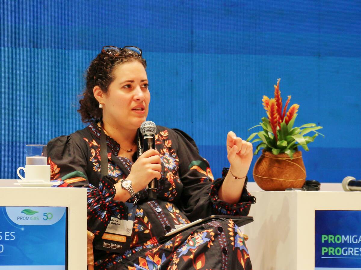 Ecopetrol es y seguirá siendo una compañía de hidrocarburos