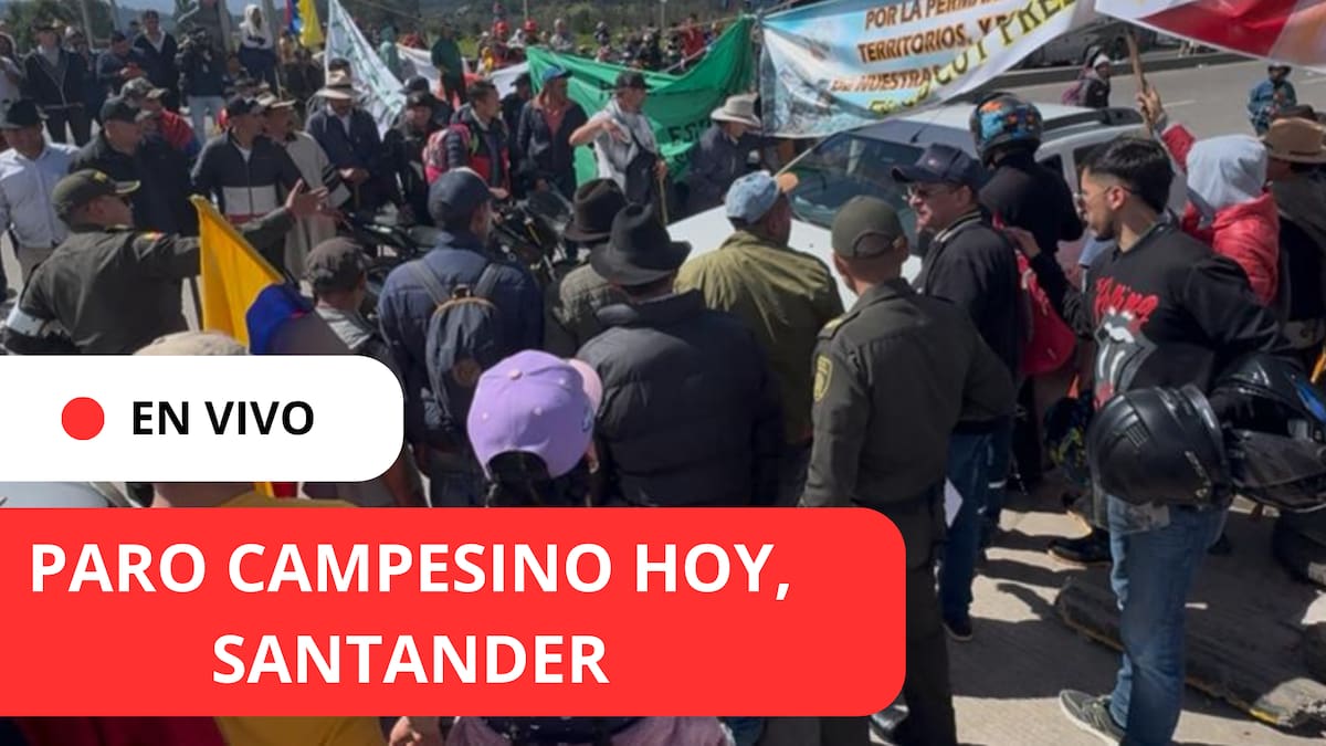 🔴 Lo último del PARO campesino en Santander: Marchas de maestros EN VIVO y vías cerradas