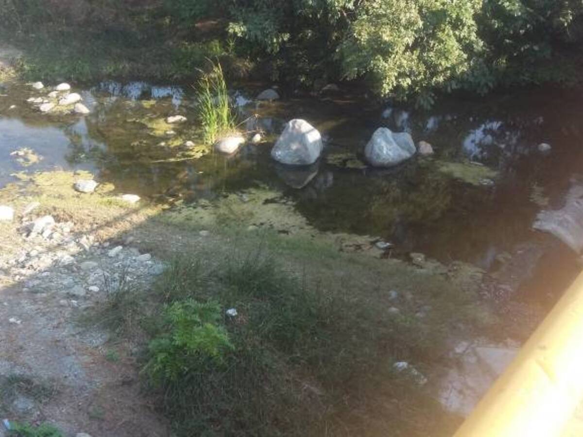Incendios y sequía por Fenómeno del Niño tienen en ‘jaque’ a la Zona Bananera en Magdalena