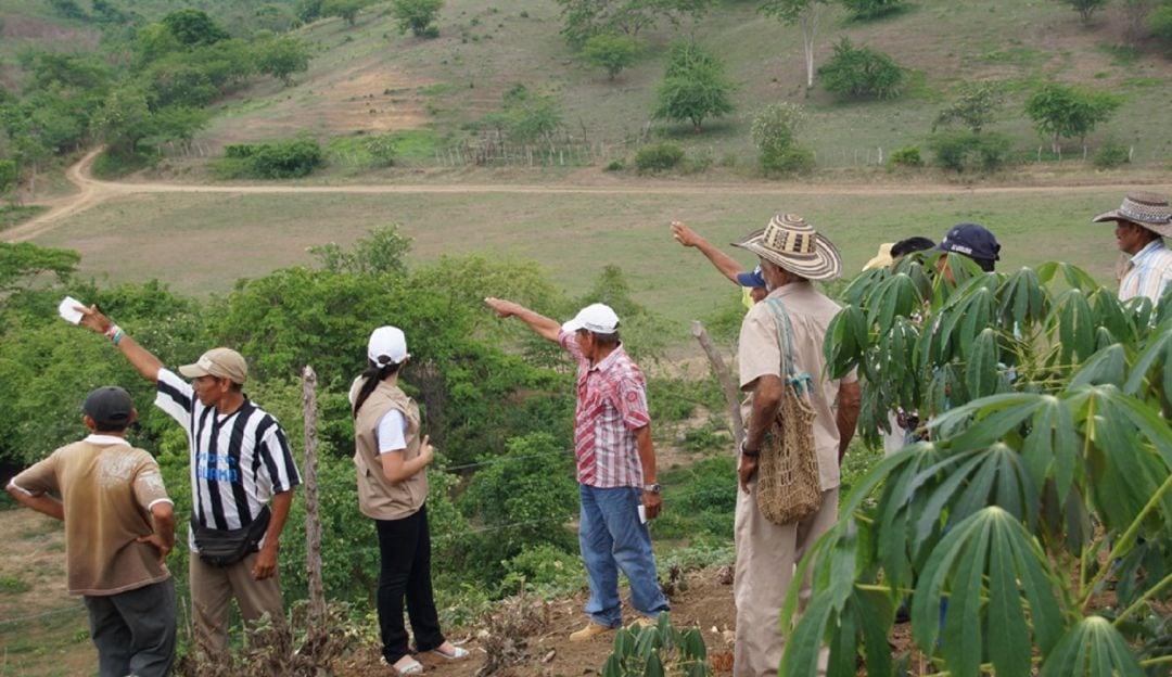 Proceso de restitución de tierras. 