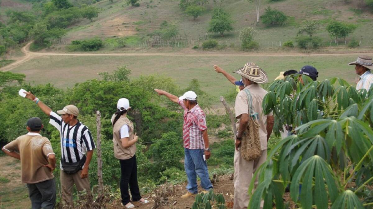 Radican proyecto para agilizar proceso de restitución de tierras