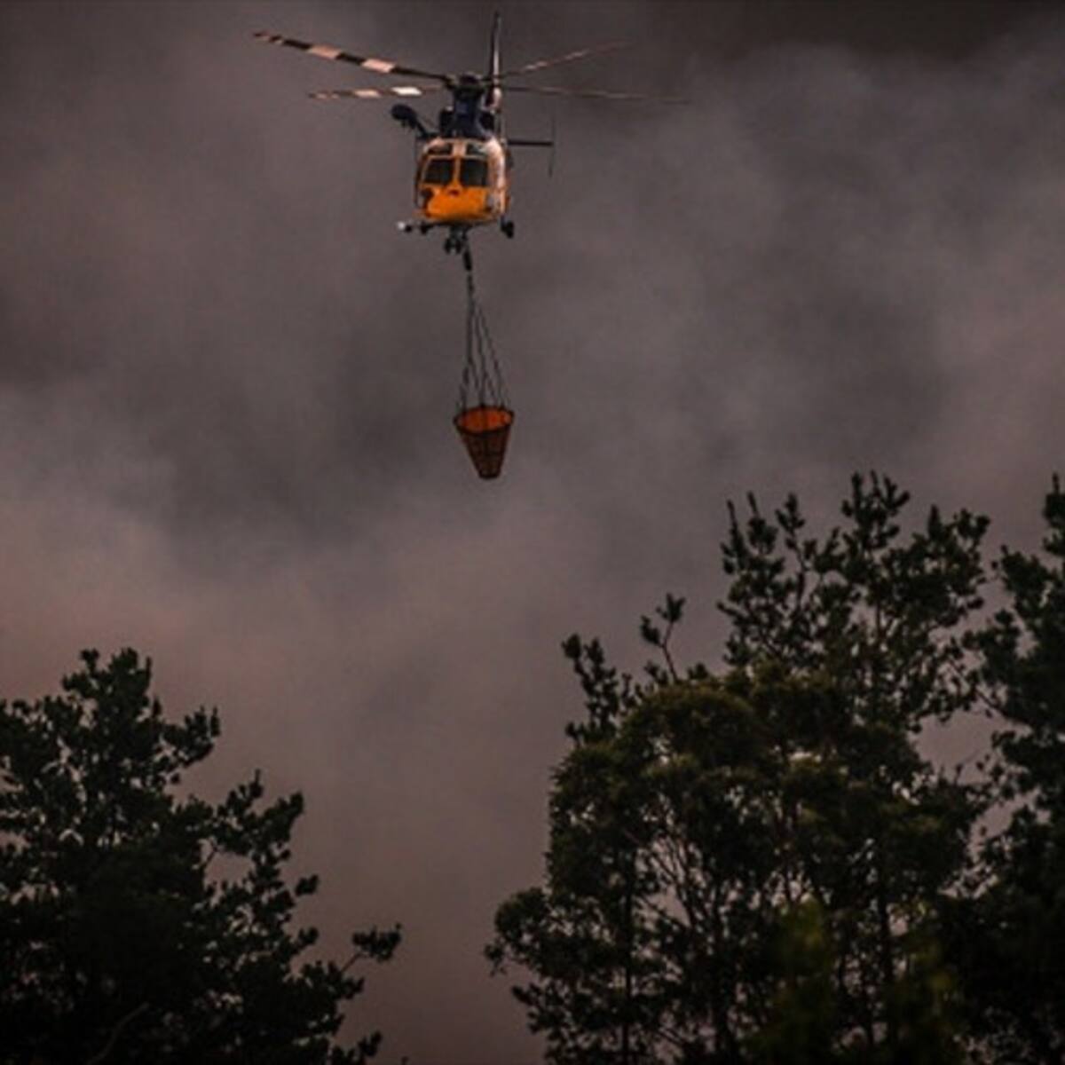 Incendio en Australia quema 10.000 hectáreas de bosque y campo