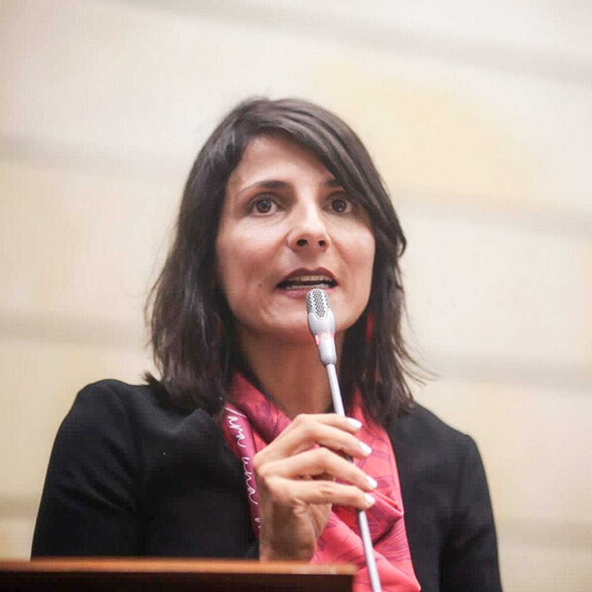 Irene Vélez renunció a su cargo como ministra de Minas y Energía
