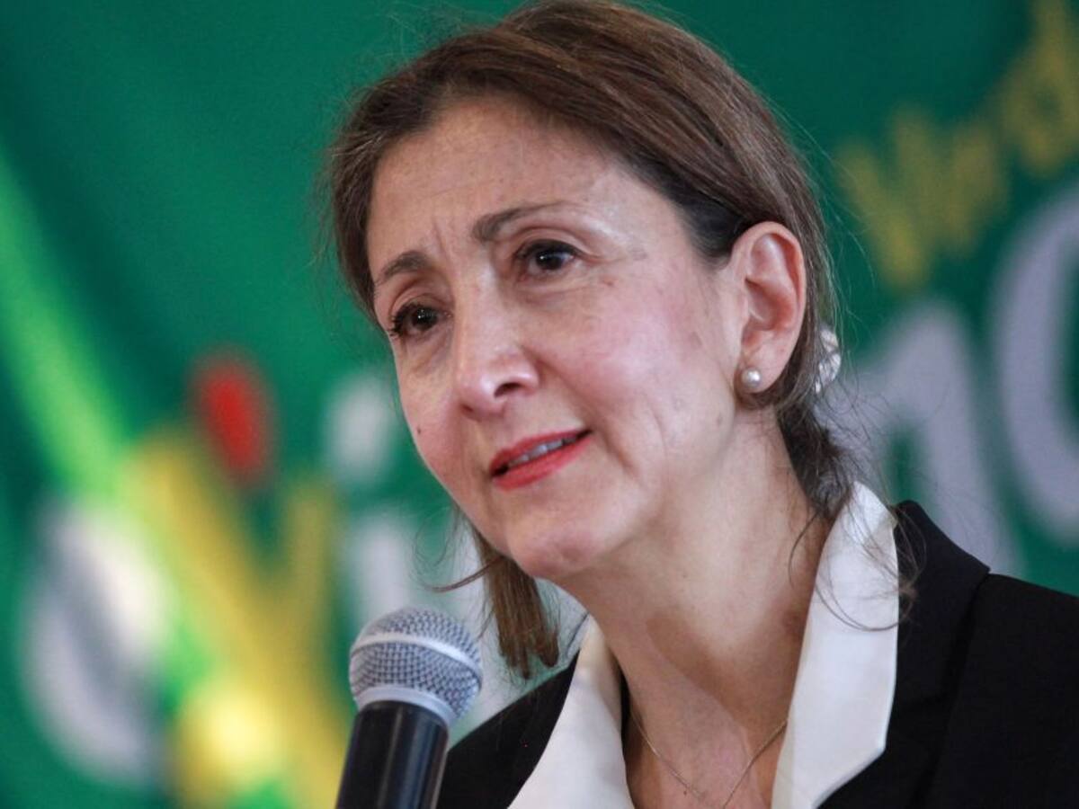 "No queremos el apoyo de maquinarias clientelistas en la Coalición"