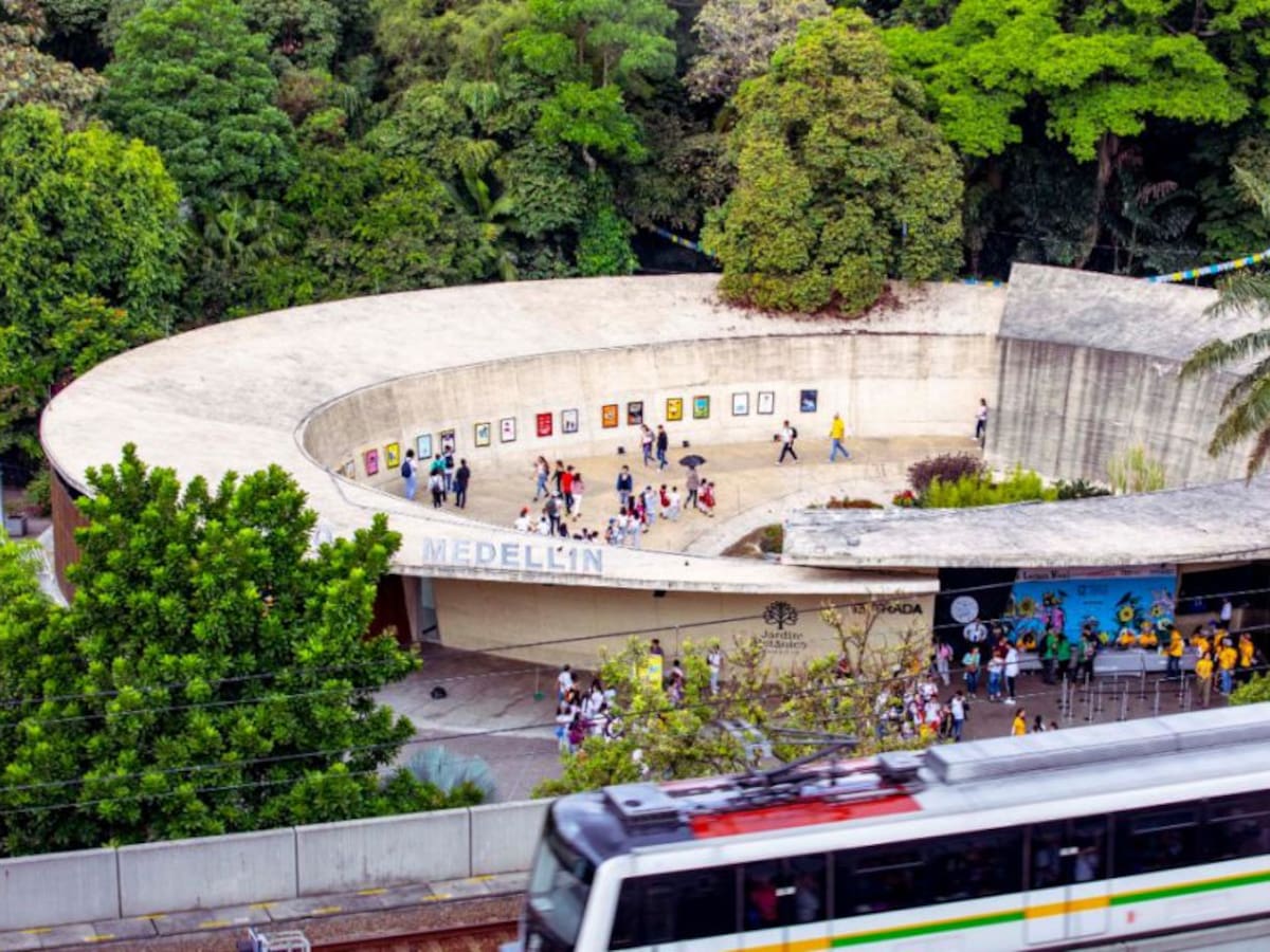 Jardín Botánico de Medellín le enseña a cuidar las plantas desde casa