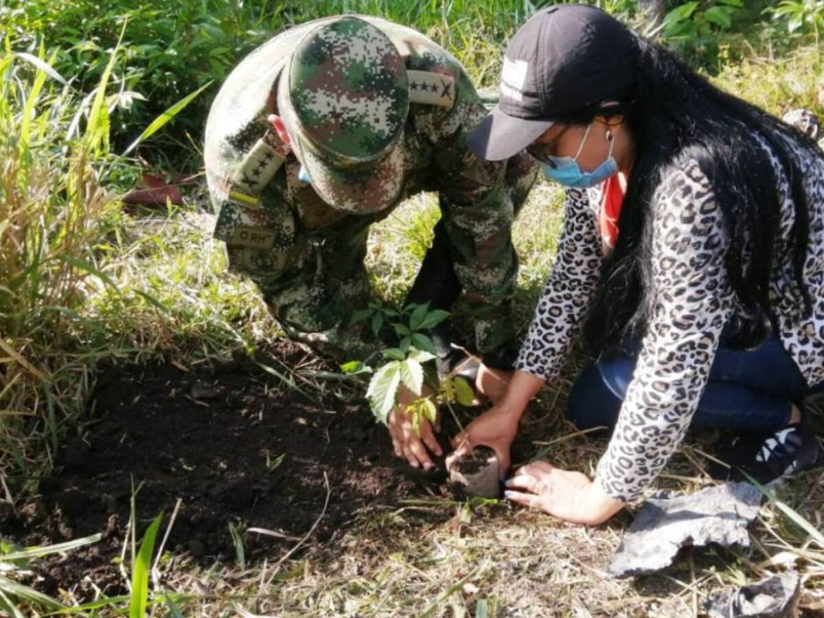 Ejército lideró siembra de árboles sobre la Ciénaga Grande de Simití