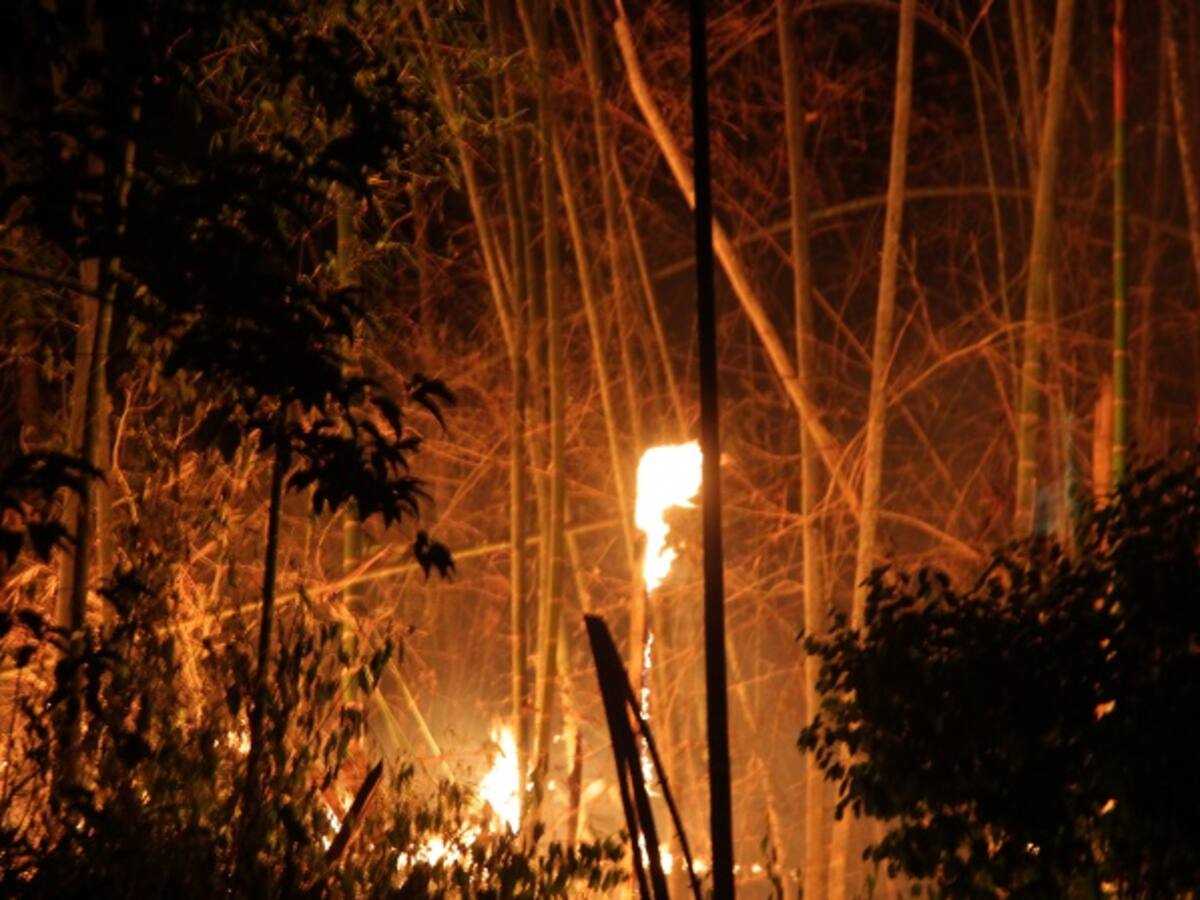 Incendio forestal en Cauca deja heridos y desaparecidos