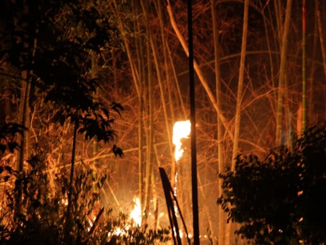 Incendio forestal en Cauca deja heridos y desaparecidos