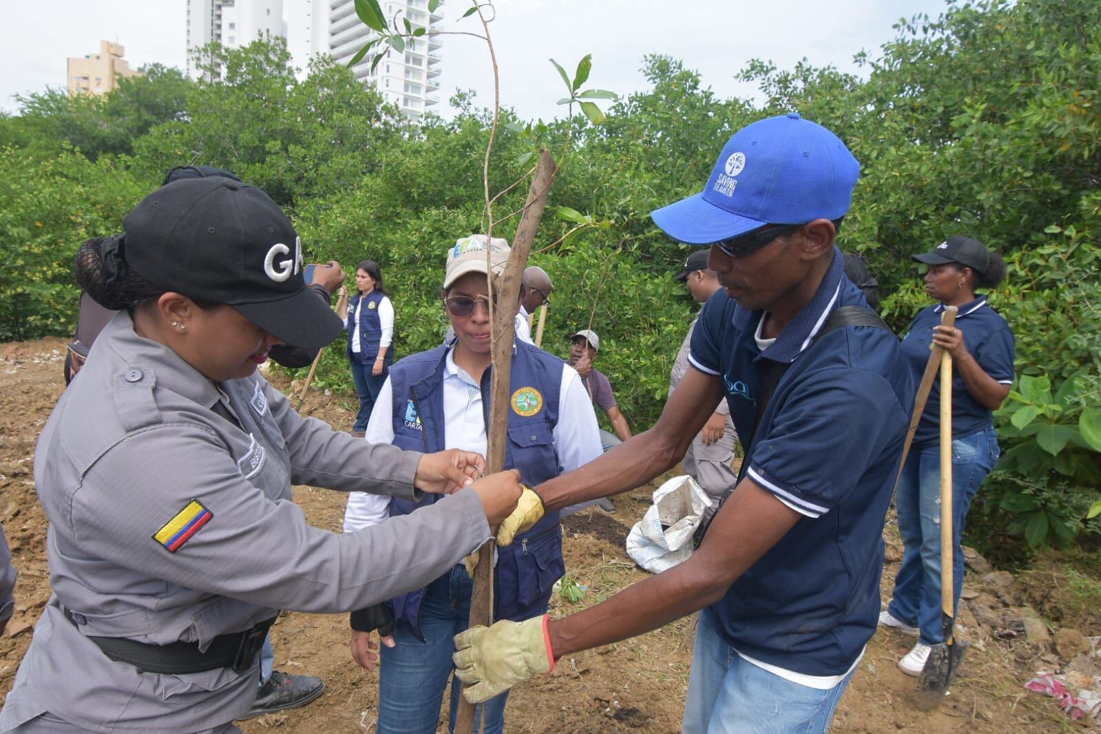 Alcaldía de Cartagena