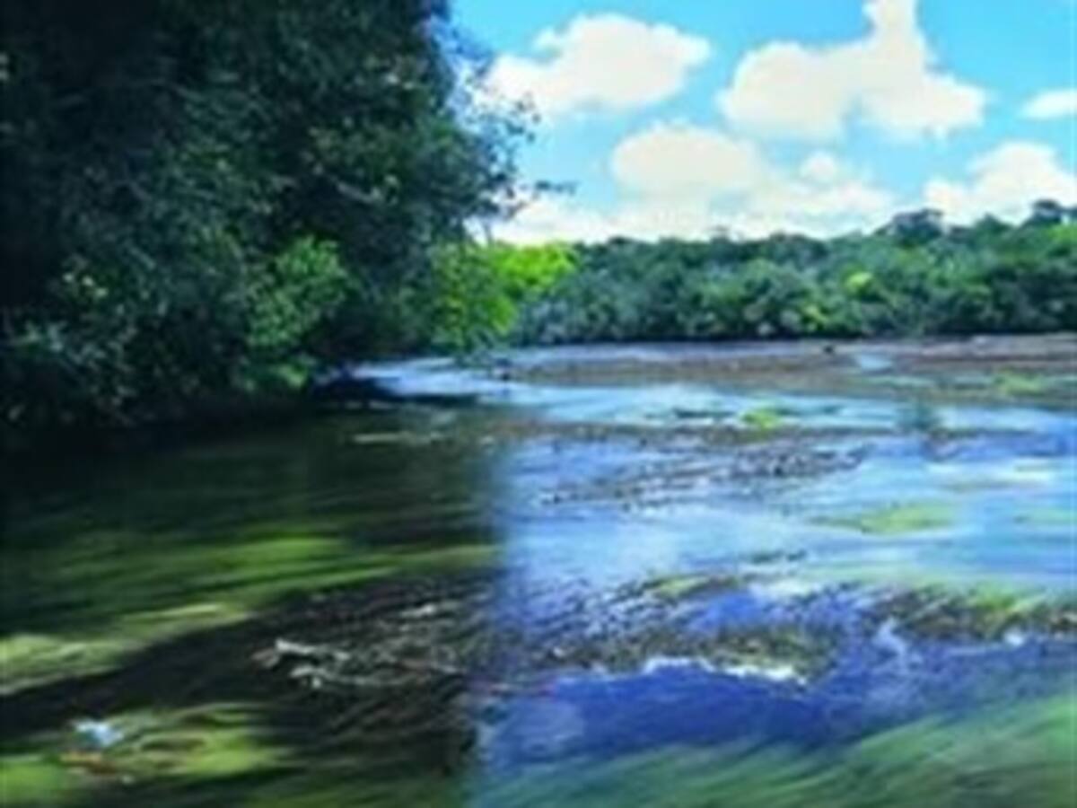 “Corte evitó que extranjeros se roben recursos naturales colombianos”: Jorge Robledo