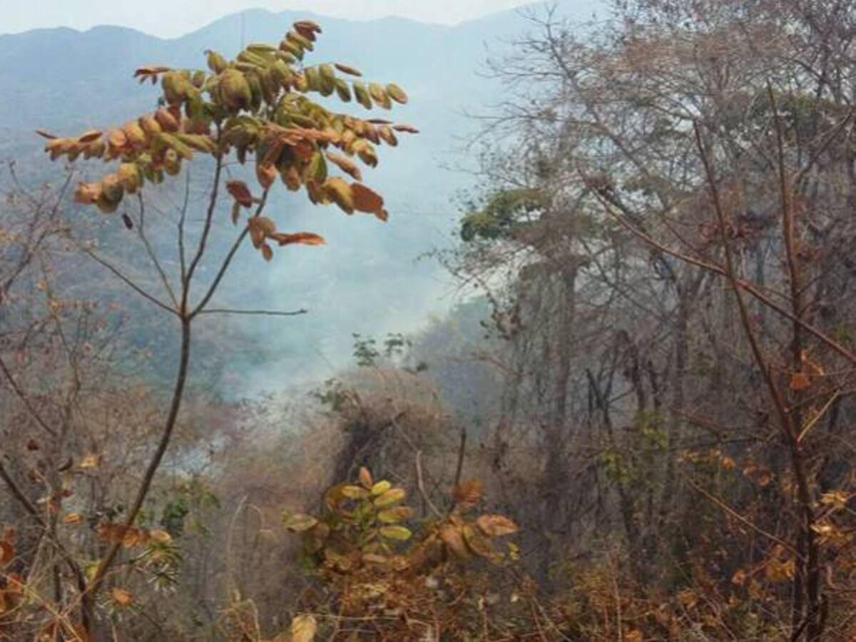 Nuevo incendio en la Sierra Nevada de Santa Marta ha destruido 10 hectáreas de bosque