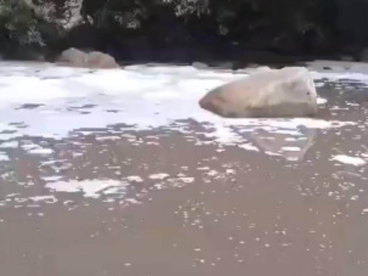 Examinarán la calidad del agua del río Minca para identificar residuos contaminantes