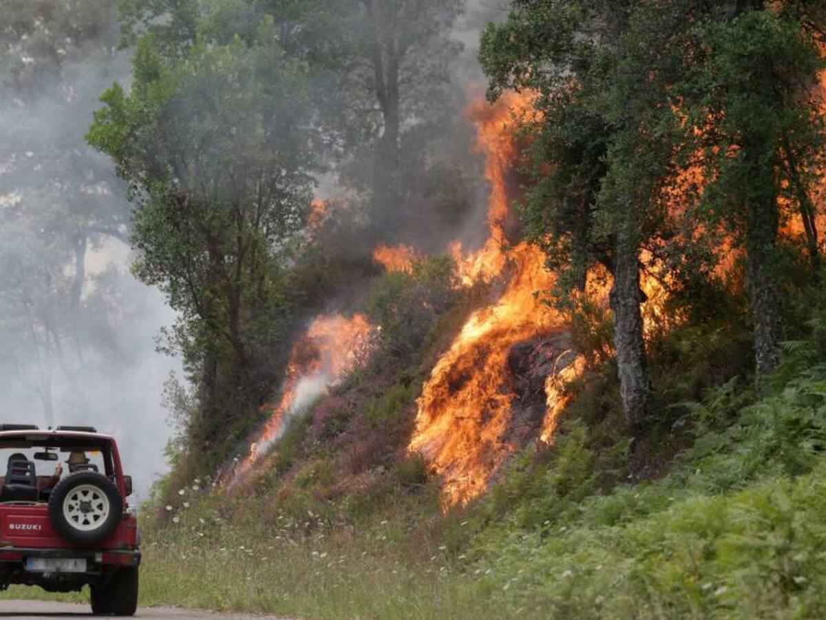 Más de 300 muertos y 30 incendios forestales deja fuerte ola de calor en España