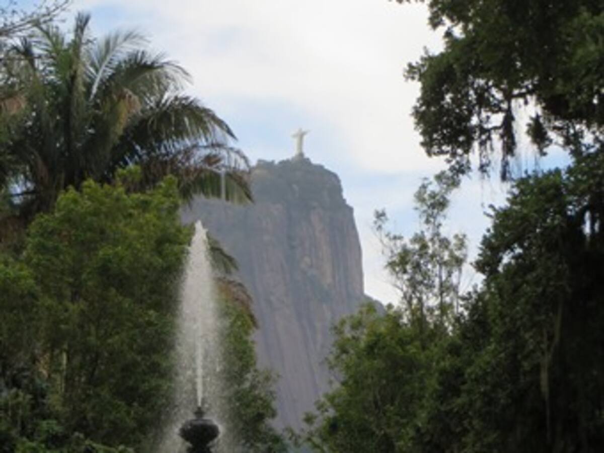 El lugar más verde de Rio de Janeiro, su Jardín Botánico